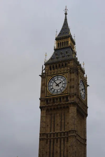 DSC_5919 (Large).JPG